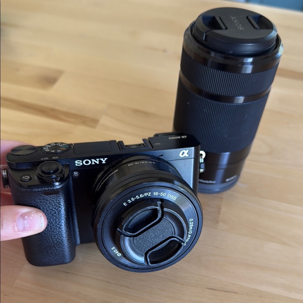 Sony Alpha a6000 Camera + 16-50mm & 55-210mm OSS Lenses Bundle